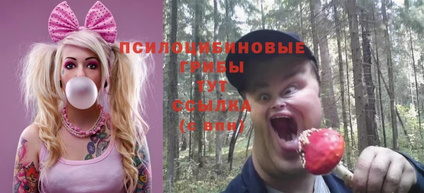 герыч Алзамай