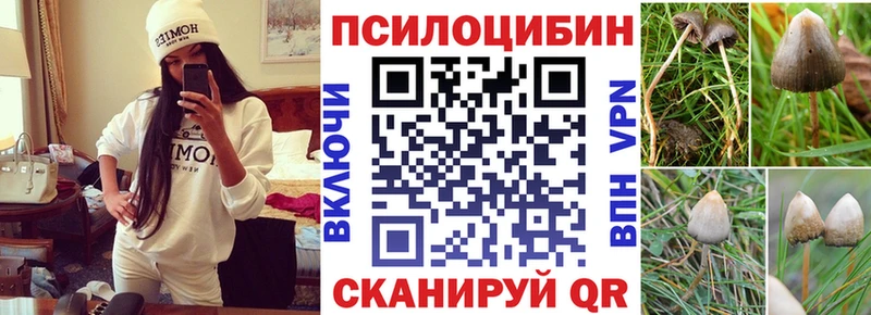 Псилоцибиновые грибы Psilocybine cubensis Шилка