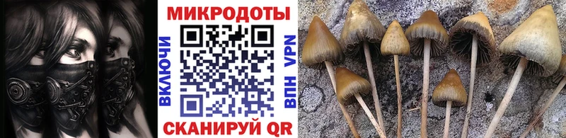 Галлюциногенные грибы Magic Shrooms  даркнет сайт  Шилка 